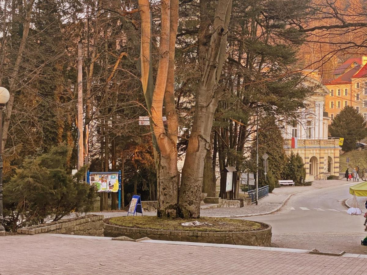 Apartament Zdroj Ladek Exterior foto